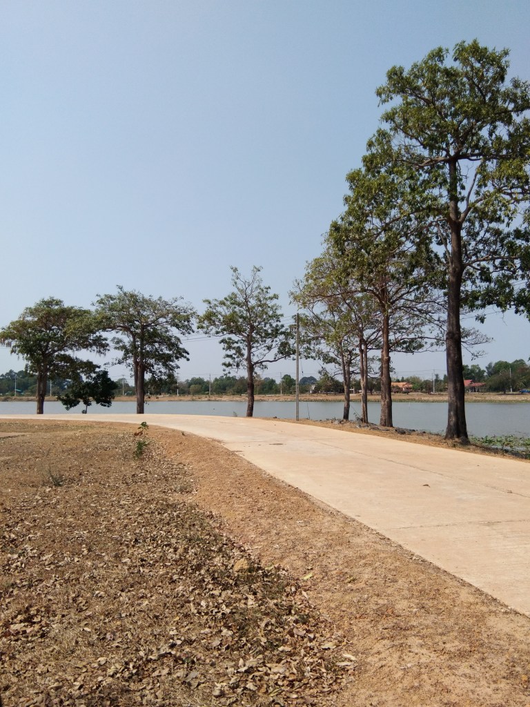 Bright light is too hot.
