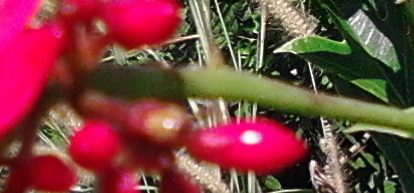 sungkreebinwatanarat